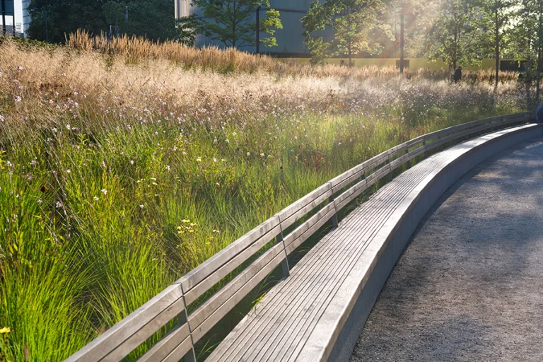 Andrea Jones Photography