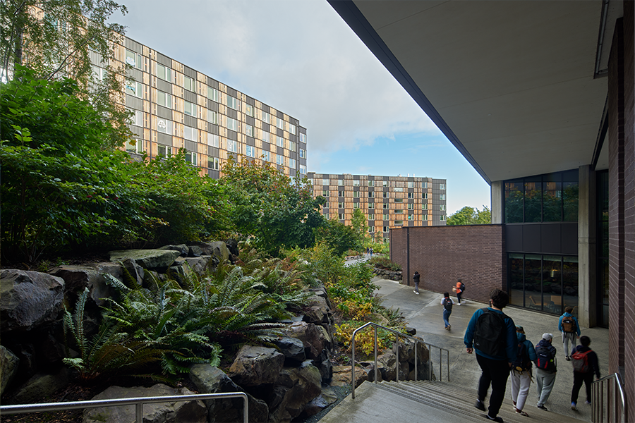 A view from an outdoor concrete staircase looking toward a lush, rock-lined garden bed with ferns, with modern wood-and-metal residential buildings in the background.