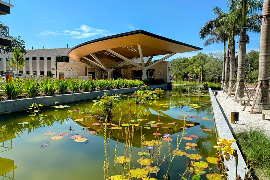A modern outdoor pavilion with a large, angular wooden canopy overlooking a long rectangular lily pond filled with aquatic plants and purple flowers.