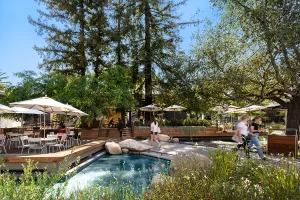 A wide shot of a landscaped plaza featuring a stone-lined pool, white patio umbrellas, and mature trees, with people walking along a paved path in the bright sunlight.