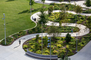 Overhead view of a curved concrete walking path winding through landscaped garden beds with young trees, shrubbery, and a runner.