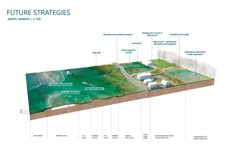 © Biohabitats / OLIN