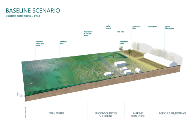 © Biohabitats / OLIN